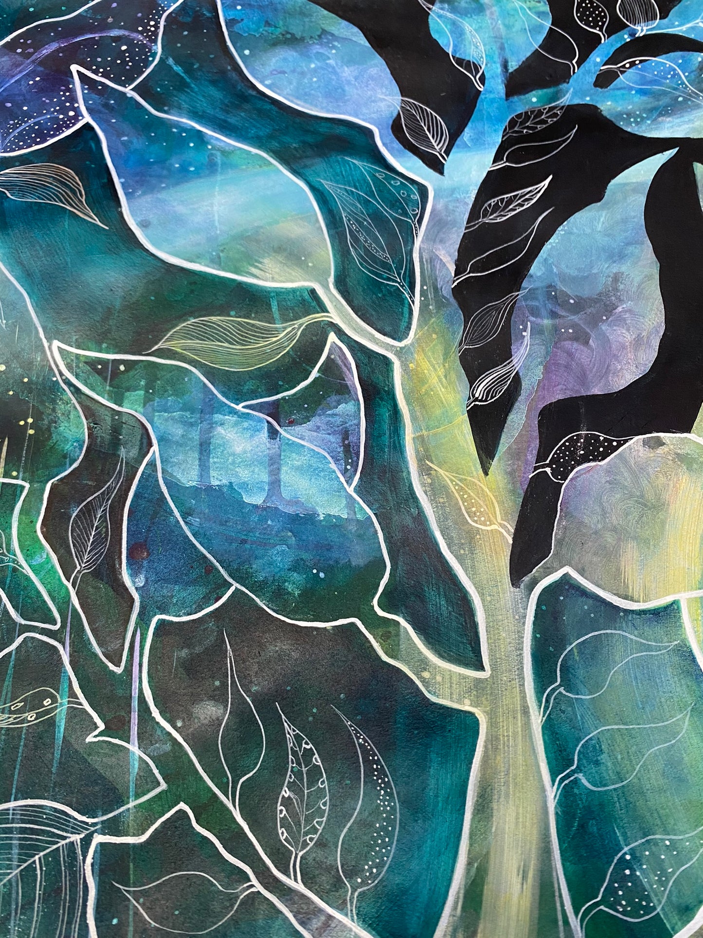 Eucalyptus Galaxy - Limited Edition Print